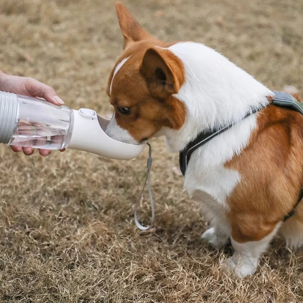 Água Pet - Garrafa de Água Para Cães e Gatos