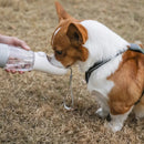 Água Pet - Garrafa de Água Para Cães e Gatos
