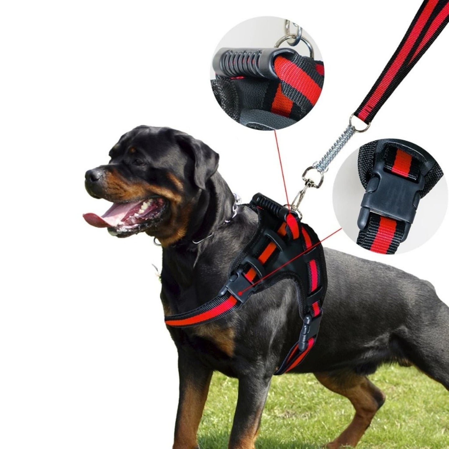 Peitoral Couro Reforçado