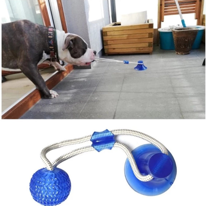 Cabo De Guerra Para Pet