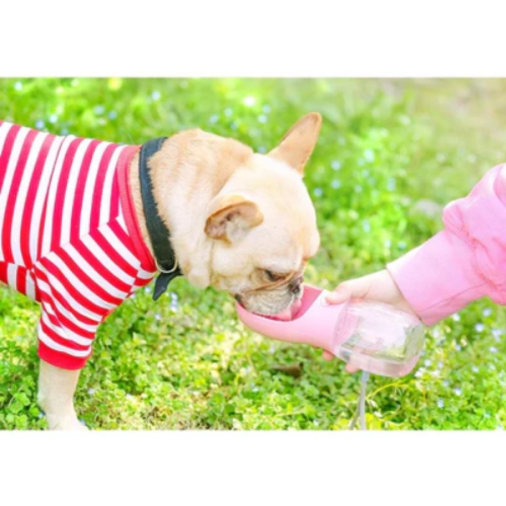 Água Pet - Garrafa de Água Para Cães e Gatos