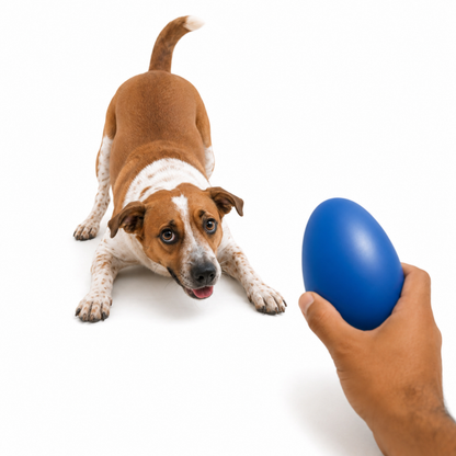 Ovo Maluco Brinquedo Cachorro Cães Resistente Pet Mordedor Movimento Imprevisível Anti Estresse