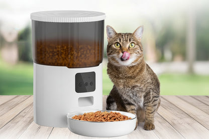 Newpet Alimentador Comedouro Automático Gatos Cães Pet Programável 4L Cor Branco - Bivolt