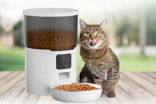 Newpet Alimentador Comedouro Automático Gatos Cães Pet Programável 4L Cor Branco - Bivolt