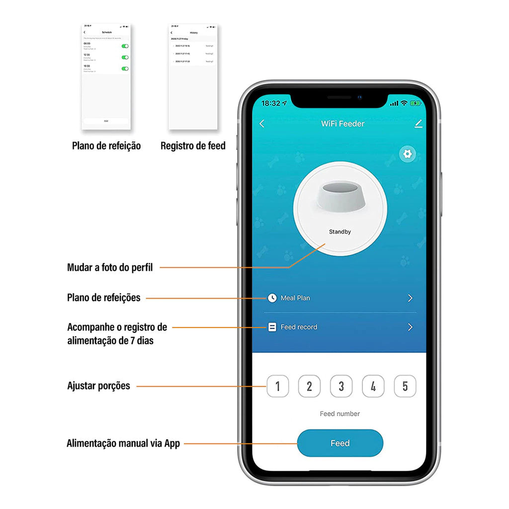 Alimentador Comedouro Automático Gatos Cães Pet Programável 4L