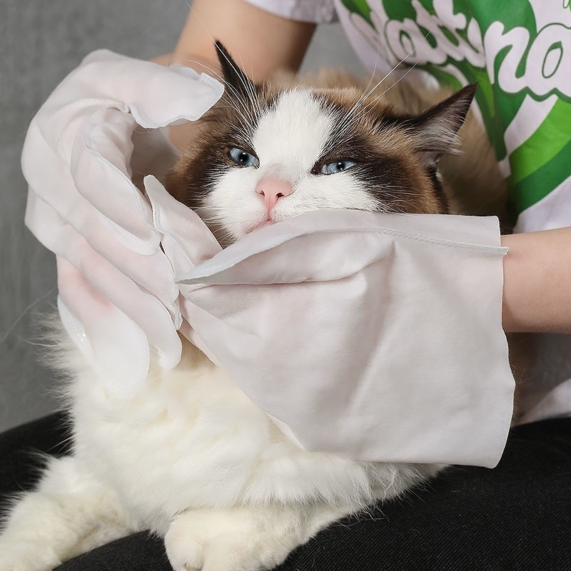 Luvas Descartáveis Para Higienização e Banho a Seco para Cães e Gatos