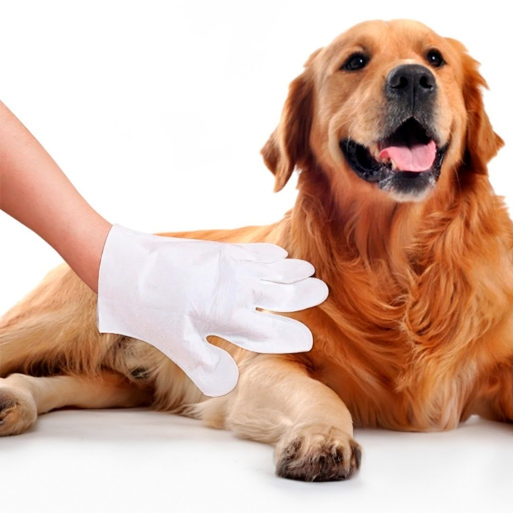 Luvas Descartáveis Para Higienização e Banho a Seco para Cães e Gatos